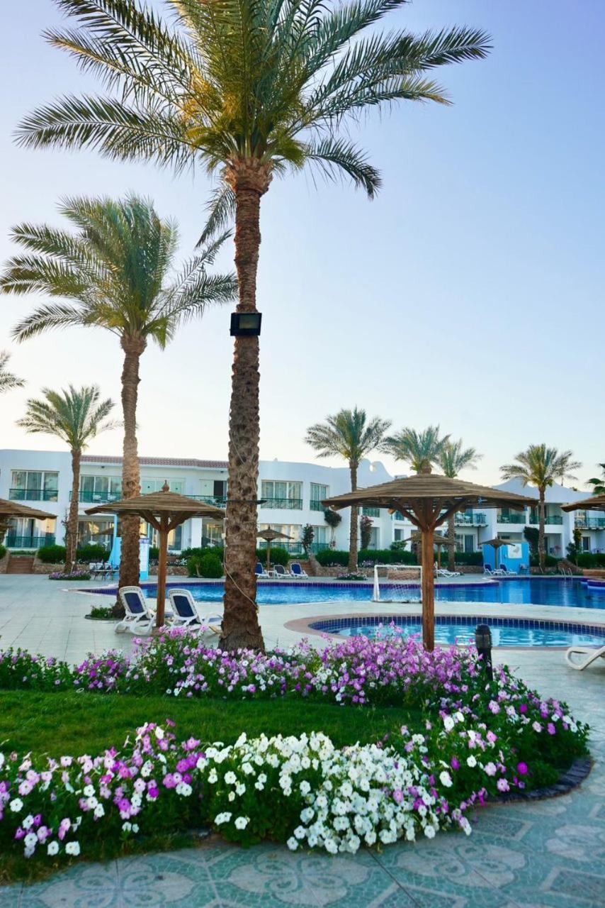 Panorama Naama Heights Hotel Sharm el-Sheikh Eksteriør billede